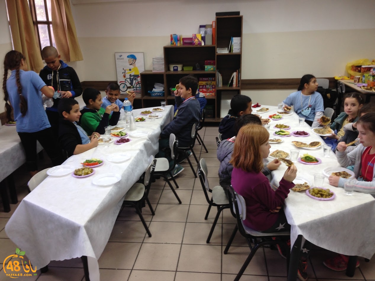 tywasil zohara32 (6).JPG